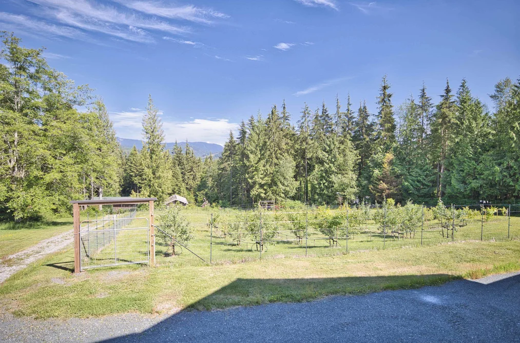 13100 BELL STREET, Mission BC V4S 1C6, Mission BC — Residential for Sale - Photo 6