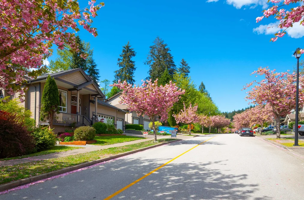 13257 239B STREET, Maple Ridge BC V4R 0A3, Maple Ridge BC — Residential for Sale - Photo 7