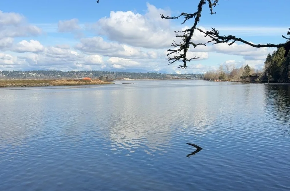 13267 CRESCENT ROAD, Surrey BC V4P 1J5, Surrey BC — Land for Sale - Photo 7