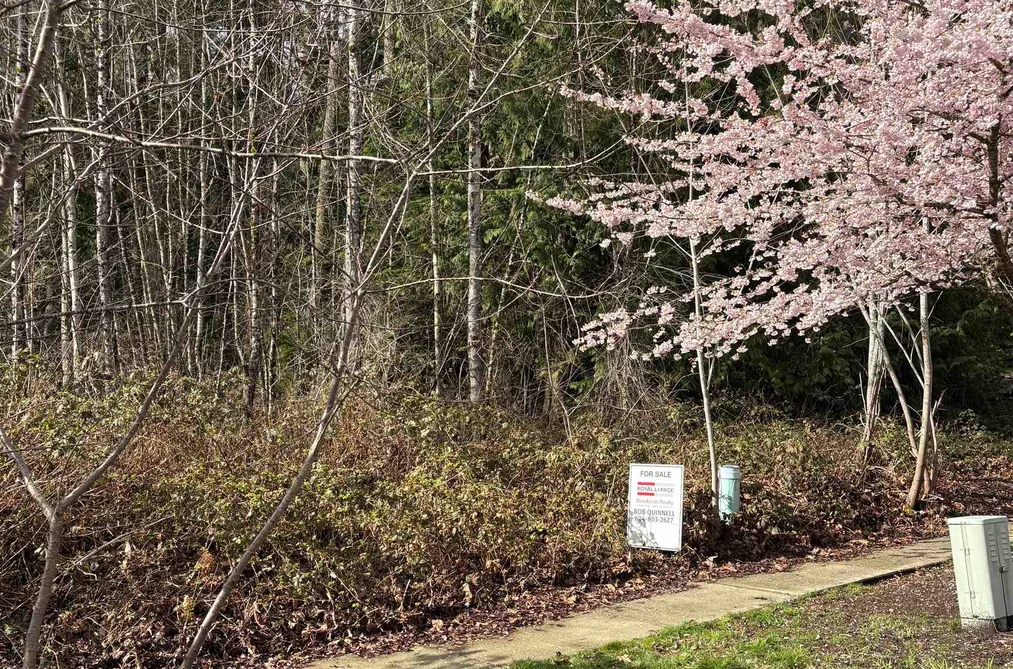Property for sale at 13395 237a Street Maple Ridge British Columbia - MLS: R3099761