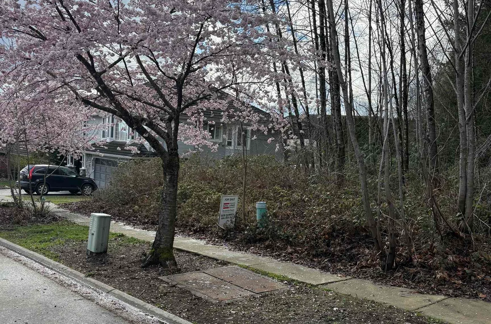13395 237A STREET, Maple Ridge BC V2X 0N8, Maple Ridge BC — Land for Sale - Photo 2