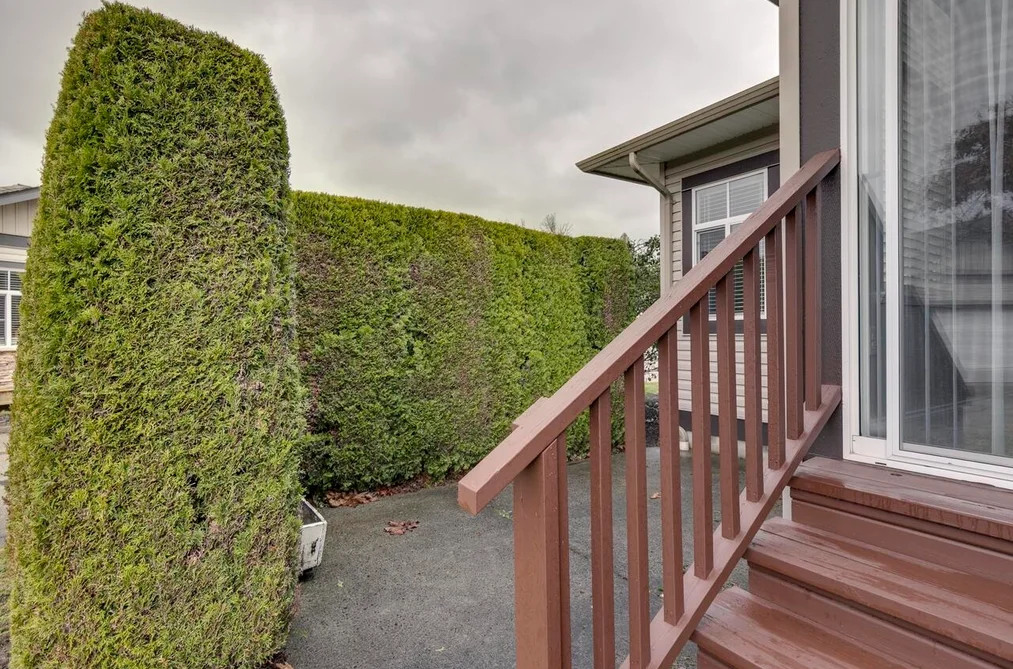 135-33751 7th Avenue, Mission, BC - Townhouse for Sale - Photo 4 of 34 135-33751 7th Avenue, Mission, BC - Townhouse for Sale - Photo 4 of 34