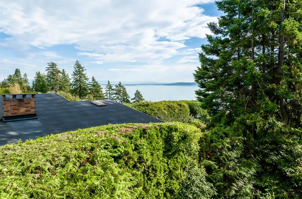 13536 13A AVENUE, Surrey BC V4A 1C4, Surrey BC — Residential for Sale - Photo 5