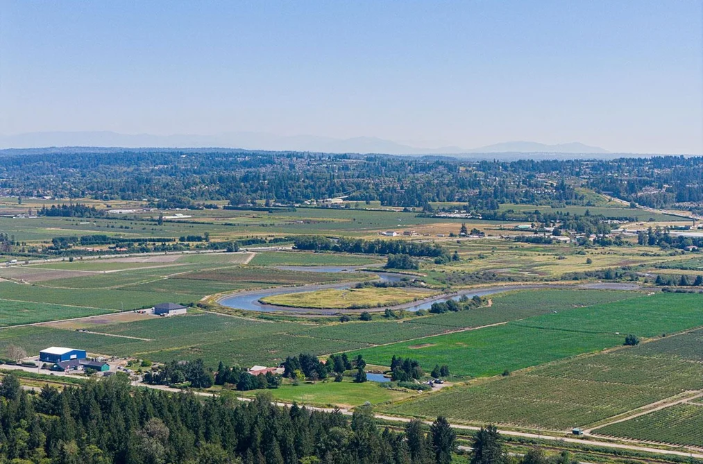 13803 56 AVENUE, Surrey BC V3X 2Z9, Surrey BC — Land for Sale — Photo 14 of 20