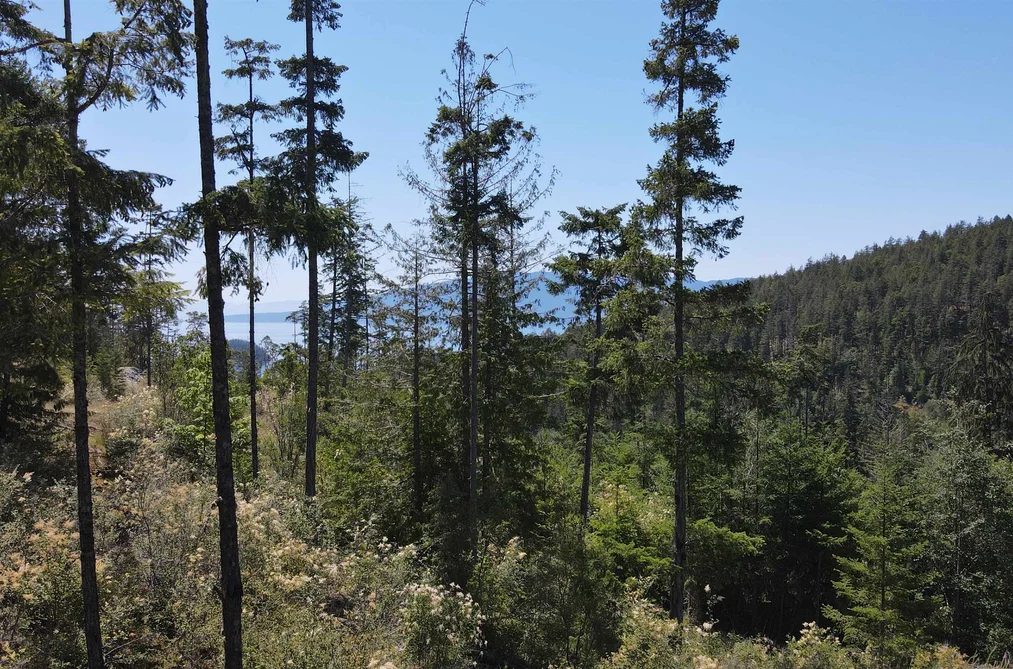 13803 LEE ROAD, Pender Harbour BC V0N 1S1, Pender Harbour BC — Land for Sale - Photo 2
