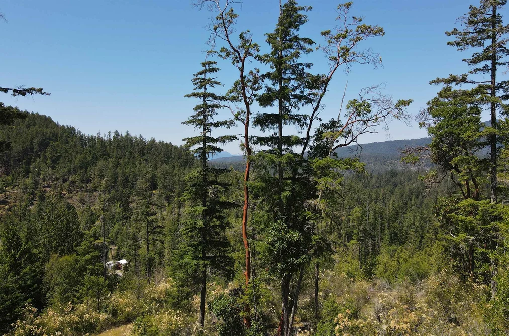 13803 LEE ROAD, Pender Harbour BC V0N 1S1, Pender Harbour BC — Land for Sale - Photo 6
