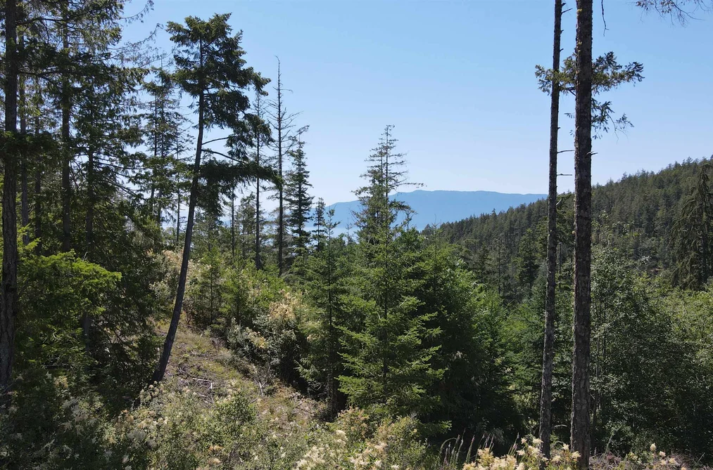 13803 LEE ROAD, Pender Harbour BC V0N 1S1, Pender Harbour BC — Land for Sale - Photo 7