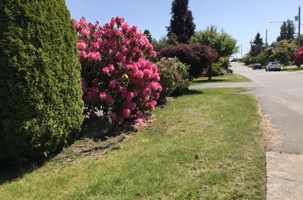 1388 LEE STREET, White Rock BC V4B 4P8, White Rock BC — Residential for Sale - Photo 6
