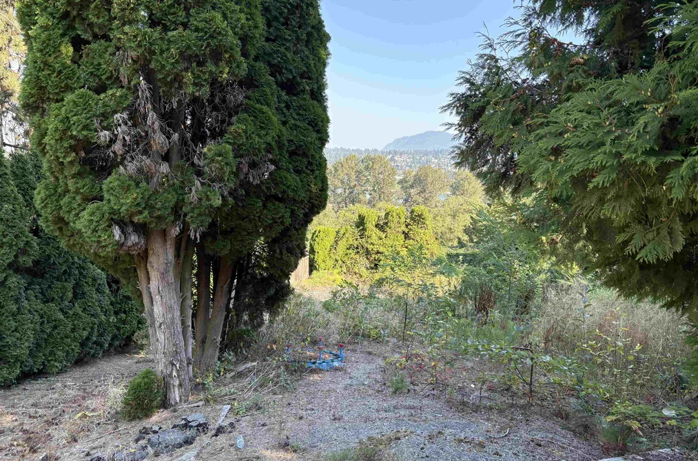 Property for sale at 13993 116 Avenue Surrey British Columbia - MLS: R3047556
