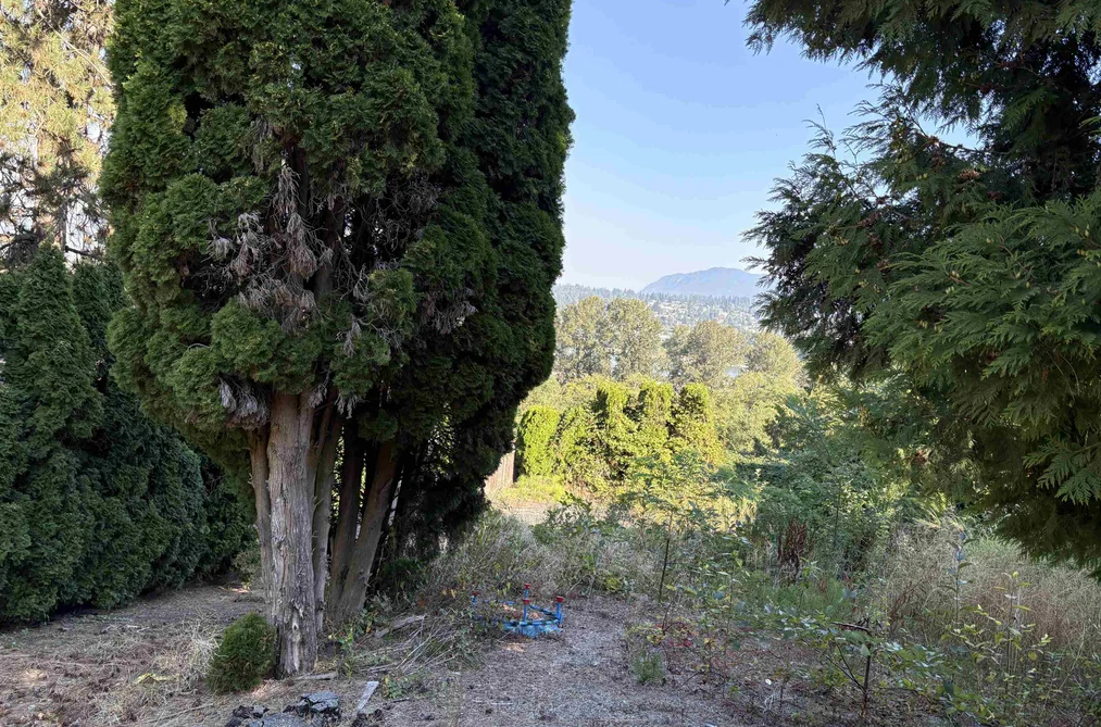 13993 116 AVENUE, Surrey BC V3R 2T3, Surrey BC — Land for Sale - Photo 2