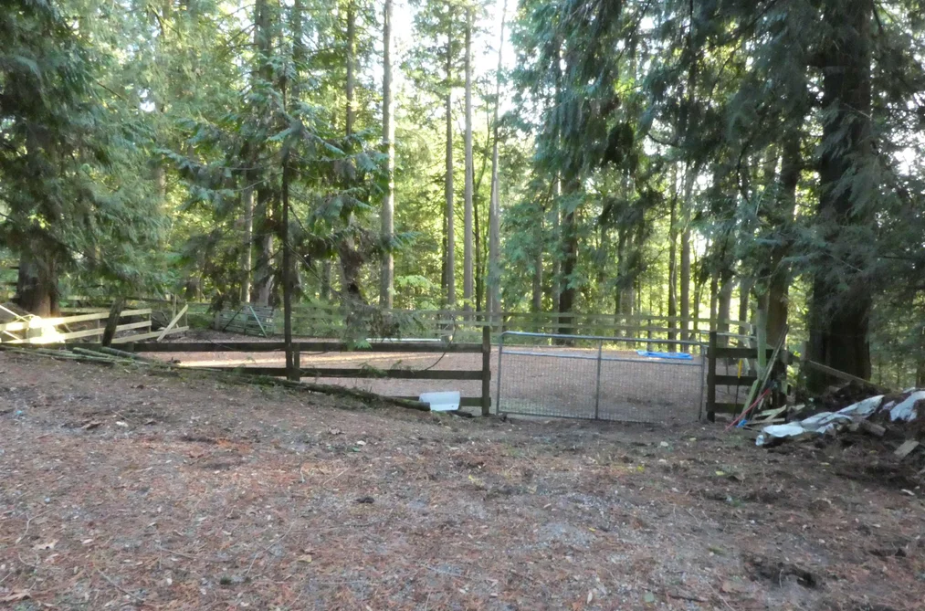 14042 232 STREET, Maple Ridge BC V4R 2G5, Maple Ridge BC — Residential for Sale - Photo 3