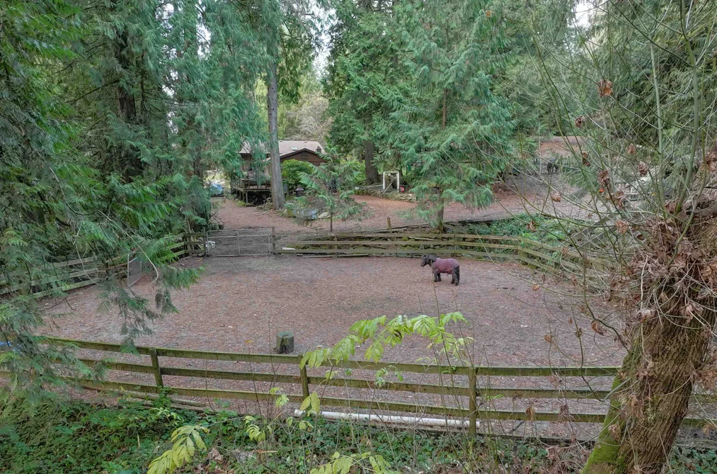 14042 232 STREET, Maple Ridge BC V4R 2G5, Maple Ridge BC — Residential for Sale - Photo 7