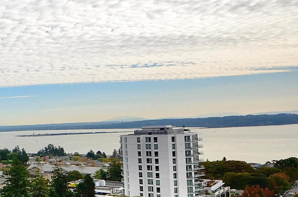 1406 1473 JOHNSTON ROAD, White Rock BC V4B 0A2, White Rock BC — Residential for Sale - Photo 3