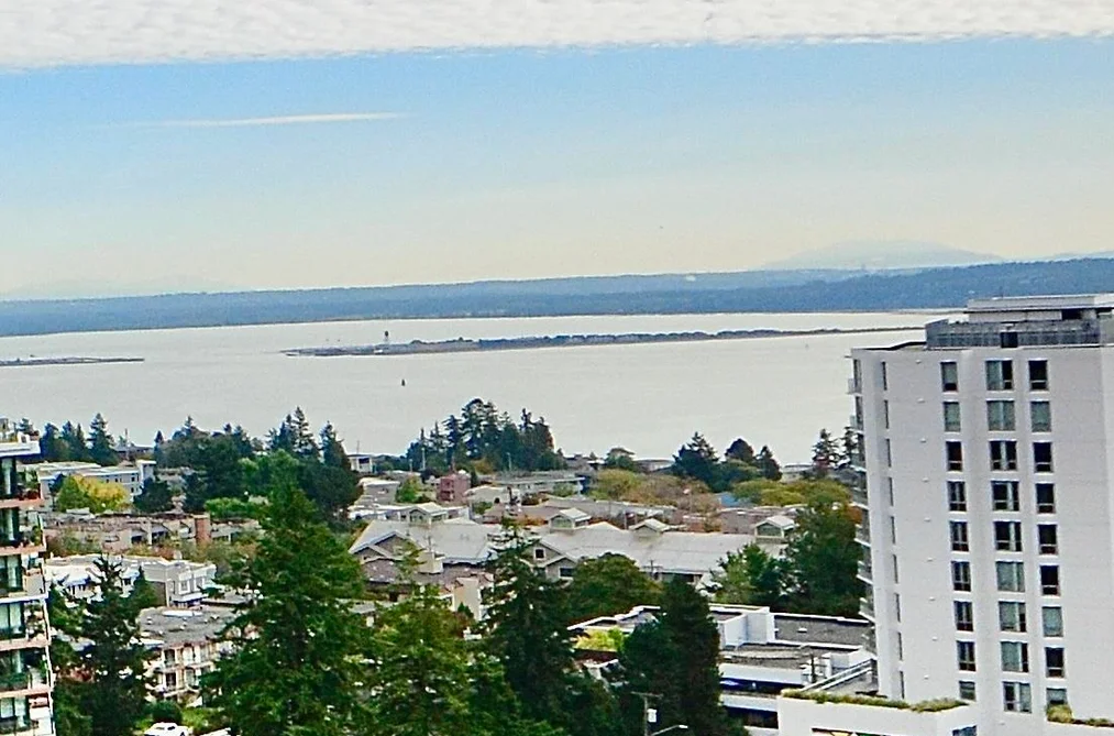1406 1473 JOHNSTON ROAD, White Rock BC V4B 0A2, White Rock BC — Residential for Sale - Photo 4