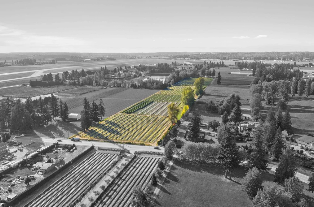 1415 CLEARBROOK ROAD, Abbotsford BC V2T 5X2, Abbotsford BC — Land for Sale - Photo 5