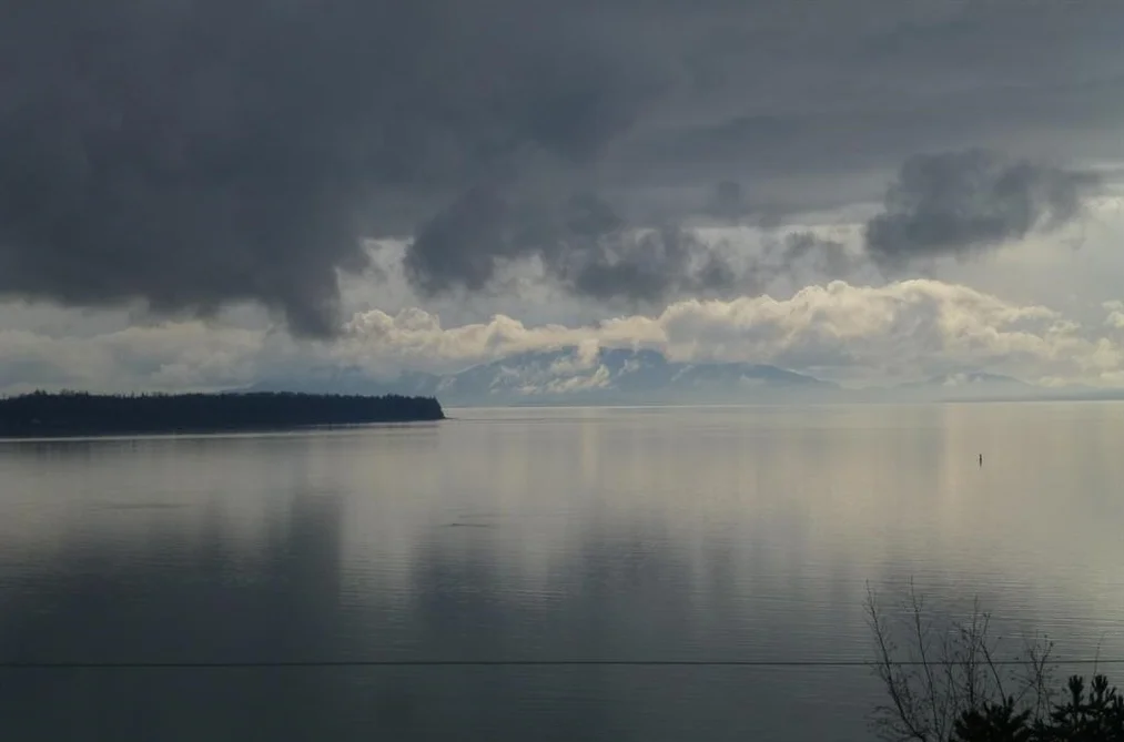 14371 SUNSET DRIVE, White Rock BC V4B 2V4, White Rock BC — Residential for Sale - Photo 5