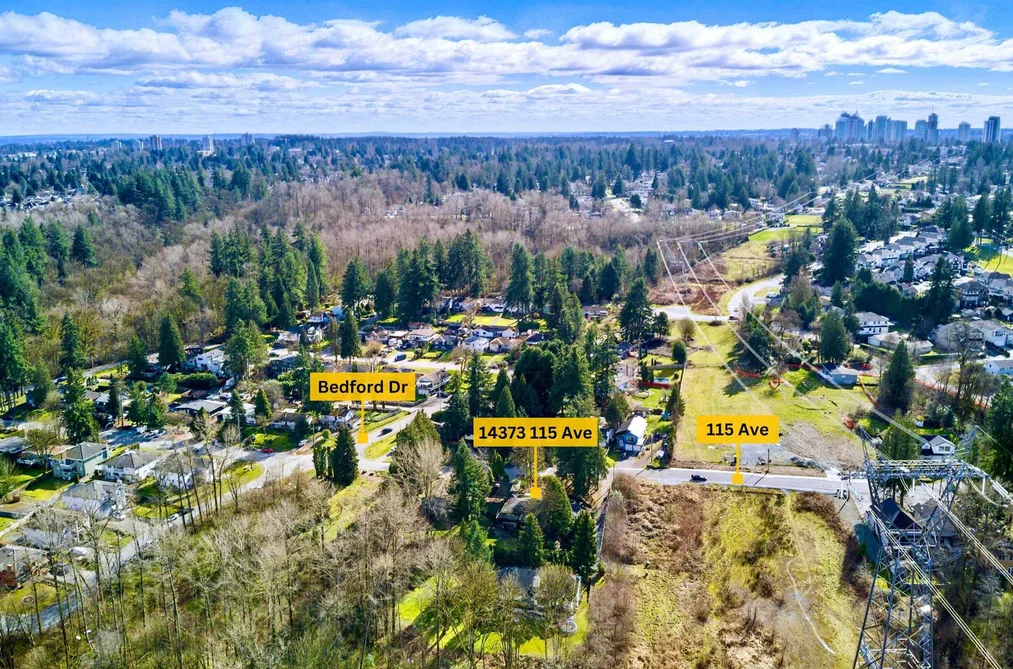 14373 115 AVENUE, Surrey BC V3R 2P9, Surrey BC — Residential for Sale - Photo 3