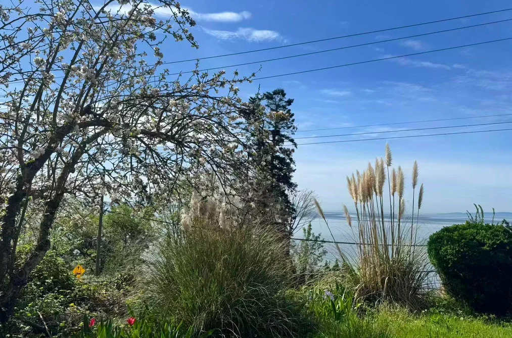 14391 MARINE DRIVE, White Rock BC V4B 1B2, White Rock BC — Residential for Sale - Photo 4