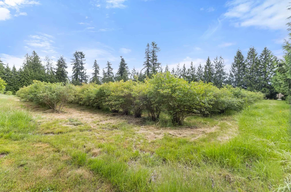 1446 TOWNLINE ROAD, Abbotsford BC V2T 6E1, Abbotsford BC — Residential for Sale — Photo 38 of 40
