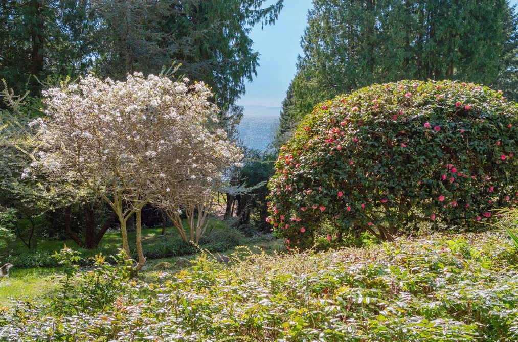 1459 GOWER POINT ROAD, Gibsons BC V0N 1V3, Gibsons BC — Residential for Sale - Photo 6