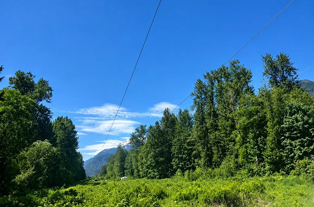 Property for sale at 146 Doghaven Lane Squamish British Columbia - MLS: R3130235