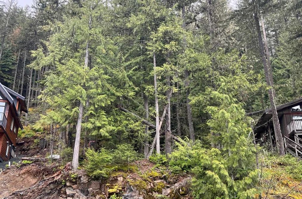 Property for sale at 14701 Parkview Avenue, Sunshine Valley BC V0x 1l5 Hope British Columbia - MLS: R3127324