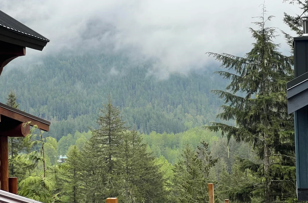 14701 PARKVIEW AVENUE, Sunshine Valley BC V0X 1L5, Hope BC — Land for Sale - Photo 2