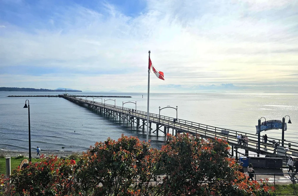 House for sale at 14729 Gordon Avenue White Rock British Columbia - MLS: R3139197