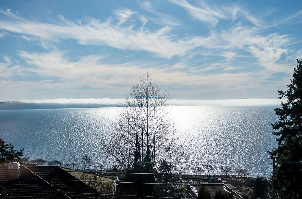 House for sale at 14815 Hardie Avenue White Rock British Columbia - MLS: R3087913