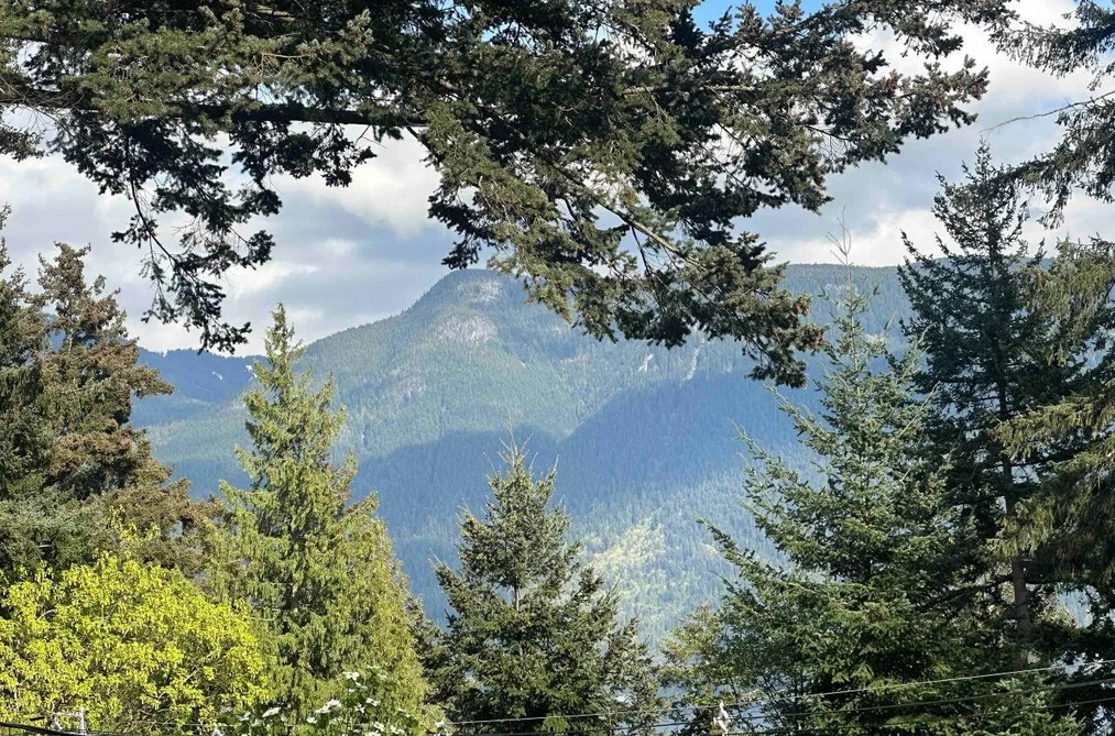 1482 EAGLE CLIFF ROAD, Bowen Island BC V0N 1G1, Bowen Island BC — Residential for Sale - Photo 7