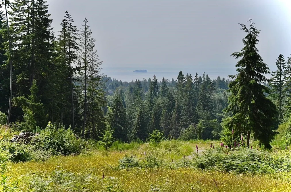 Property for sale at 1491 Reed Road Gibsons British Columbia - MLS: R3080461