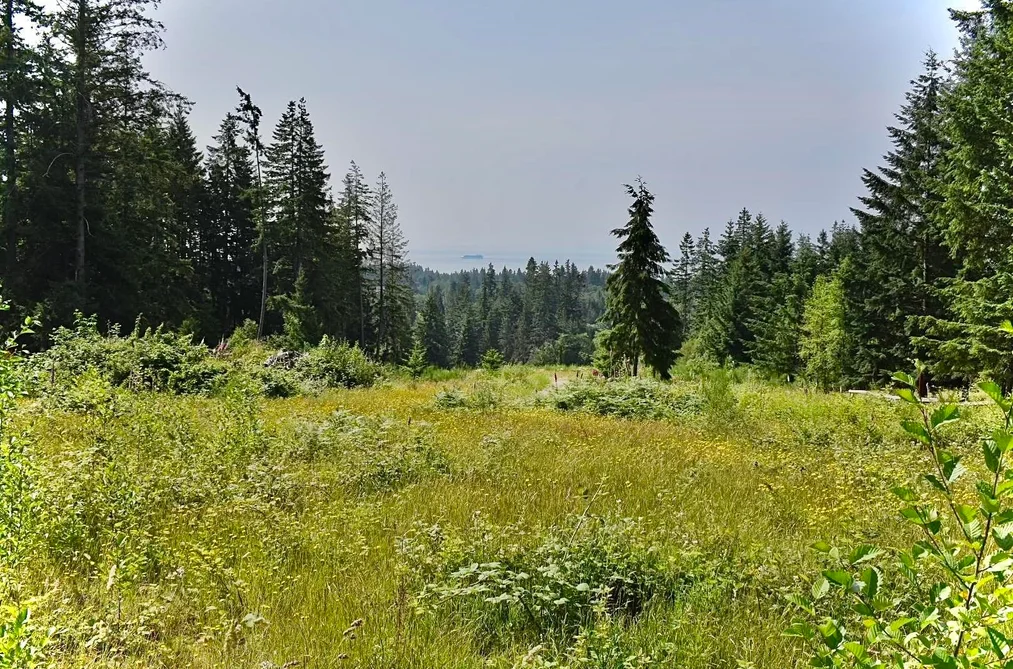 1491 REED ROAD, Gibsons BC V0N 1V7, Gibsons BC — Land for Sale - Photo 2