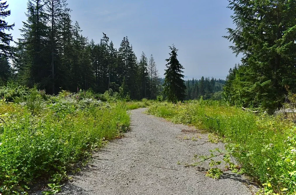 1491 REED ROAD, Gibsons BC V0N 1V7, Gibsons BC — Land for Sale - Photo 3