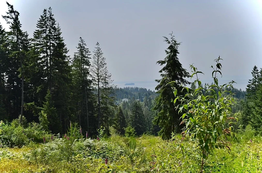 1491 REED ROAD, Gibsons BC V0N 1V7, Gibsons BC — Land for Sale - Photo 4