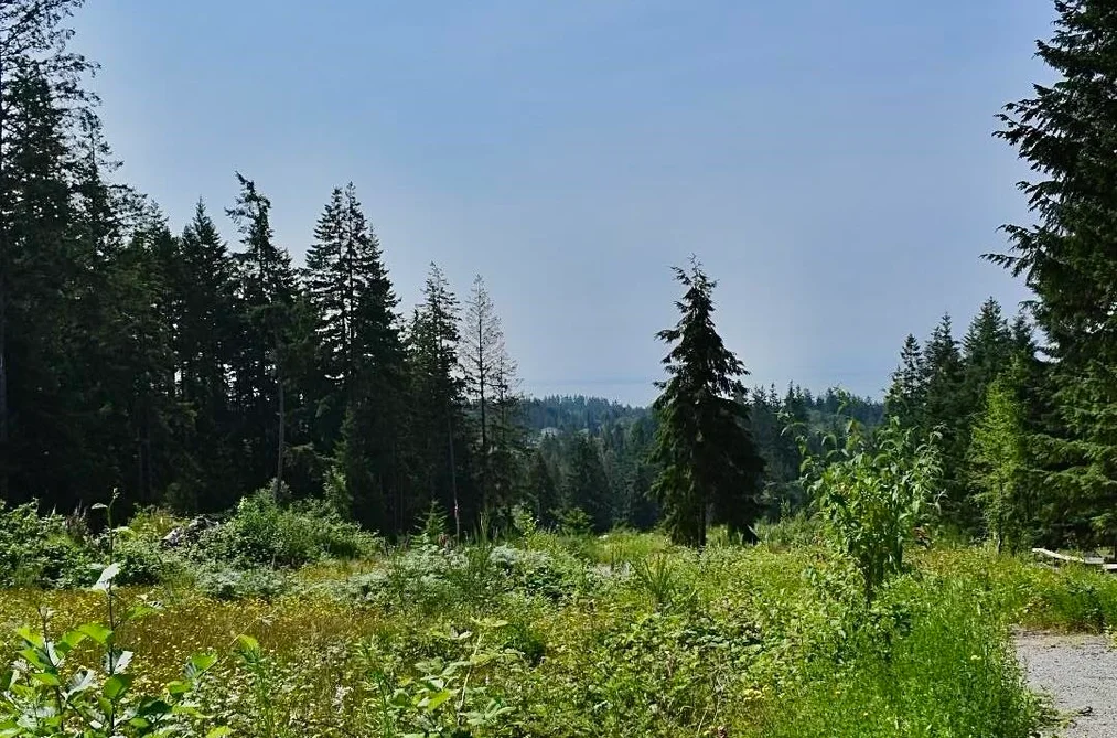 1491 REED ROAD, Gibsons BC V0N 1V7, Gibsons BC — Land for Sale - Photo 6