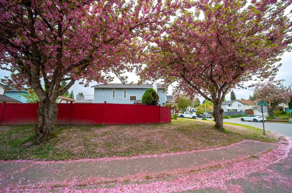 14932 98A AVENUE, Surrey BC V3R 8H7, Surrey BC — Residential for Sale - Photo 5