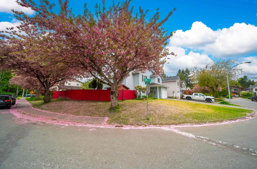 14932 98A AVENUE, Surrey BC V3R 8H7, Surrey BC — Residential for Sale - Photo 6