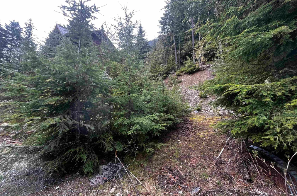 Property for sale at 14953 Parkwood Street Sunshine Valley British Columbia - MLS: R3123344