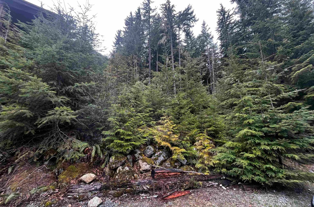14953 PARKWOOD STREET, Sunshine Valley BC V0X 1L5, Sunshine Valley BC — Land for Sale - Photo 4