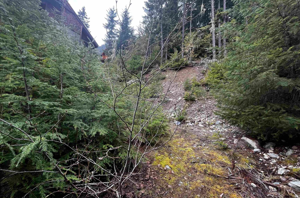14953 PARKWOOD STREET, Sunshine Valley BC V0X 1L5, Sunshine Valley BC — Land for Sale - Photo 5