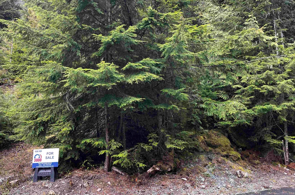 Property for sale at 14963 Parkwood Street Sunshine Valley British Columbia - MLS: R3125607