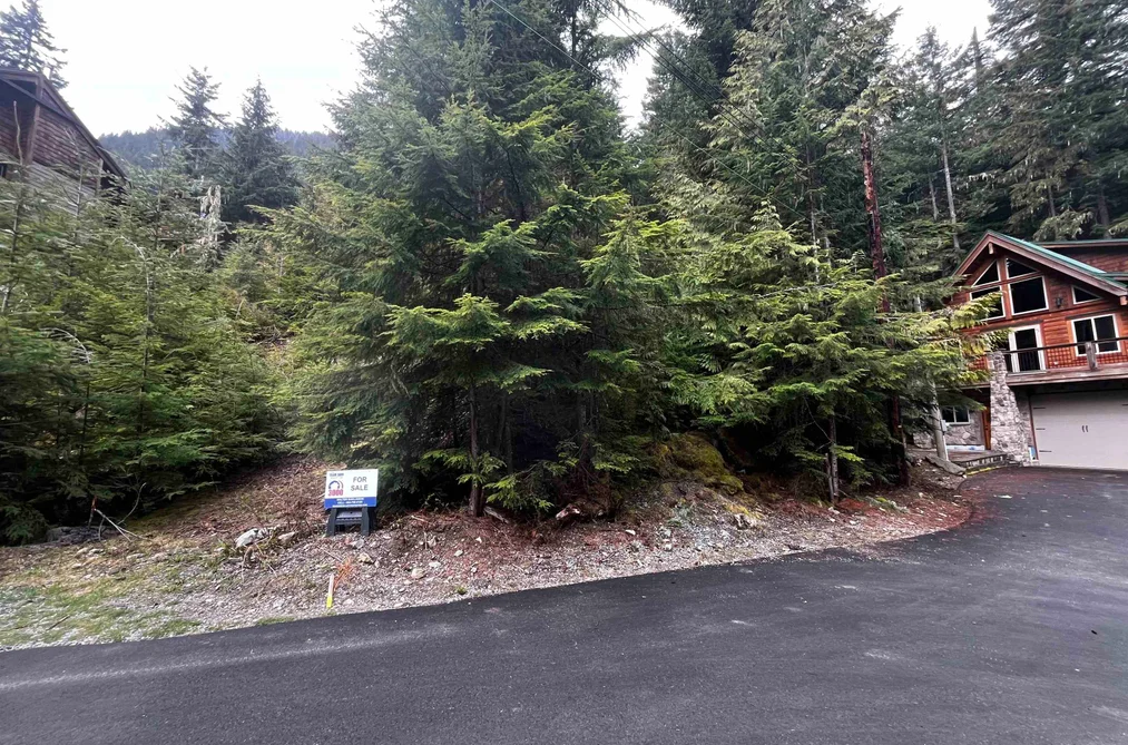 14963 PARKWOOD STREET, Sunshine Valley BC V0X 1L5, Sunshine Valley BC — Land for Sale - Photo 2