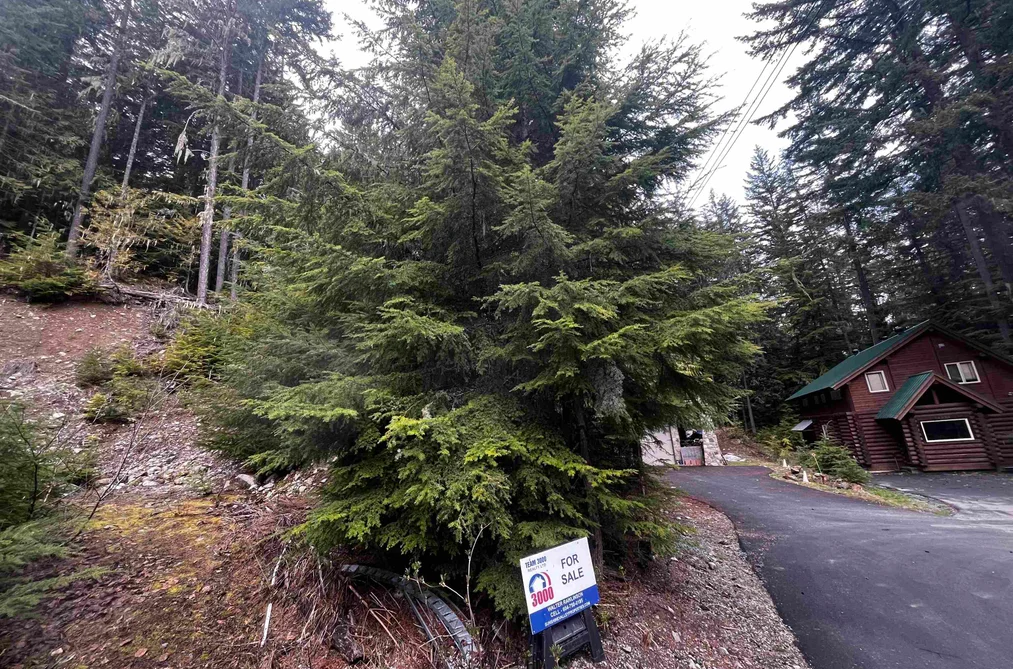 14963 PARKWOOD STREET, Sunshine Valley BC V0X 1L5, Sunshine Valley BC — Land for Sale - Photo 4