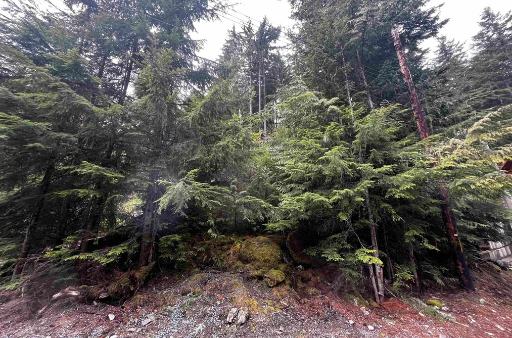 14963 PARKWOOD STREET, Sunshine Valley BC V0X 1L5, Sunshine Valley BC — Land for Sale - Photo 5