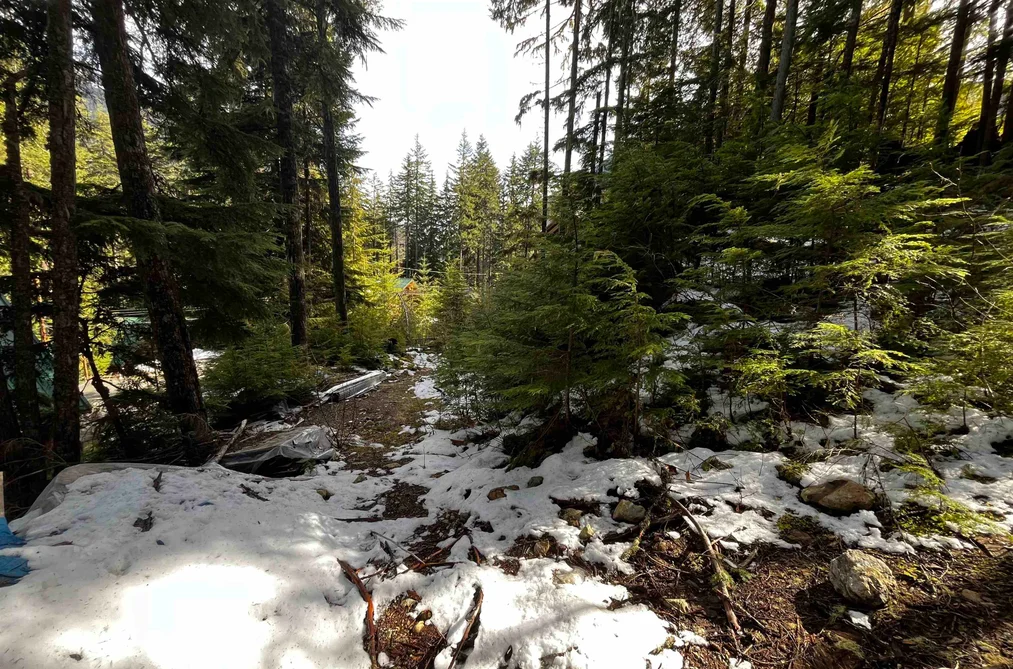 14963 PARKWOOD STREET, Sunshine Valley BC V0X 1L5, Sunshine Valley BC — Land for Sale - Photo 7