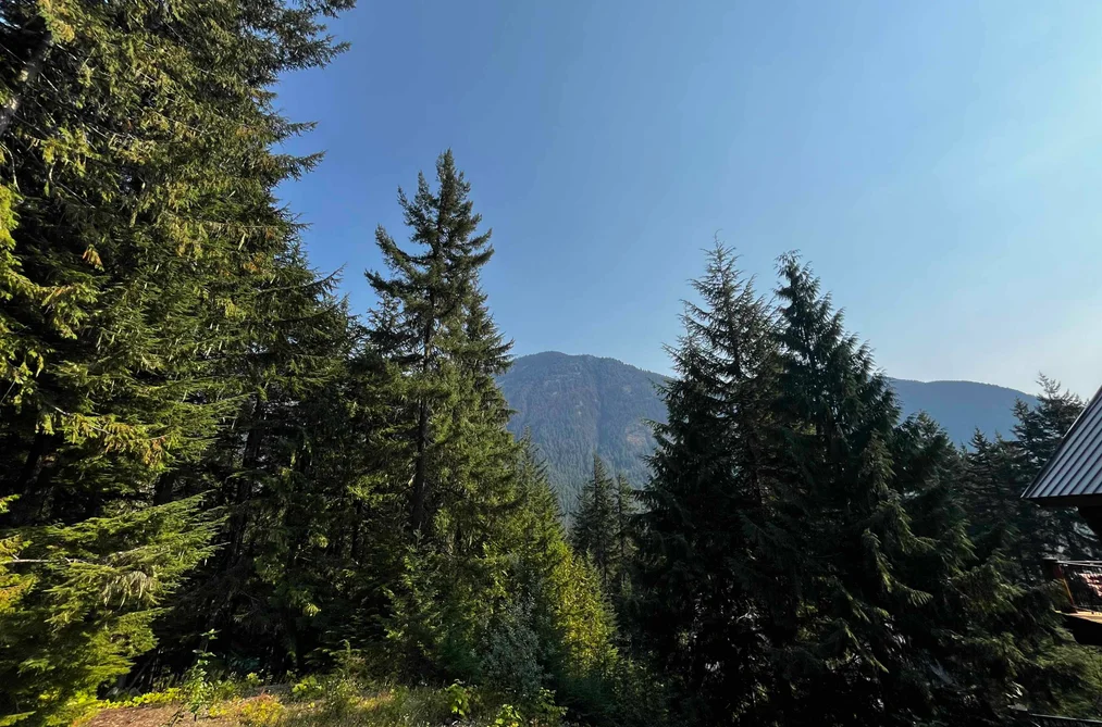 14970 PARKVIEW AVENUE, Sunshine Valley BC V0X 1L5, Sunshine Valley BC — Land for Sale - Photo 5
