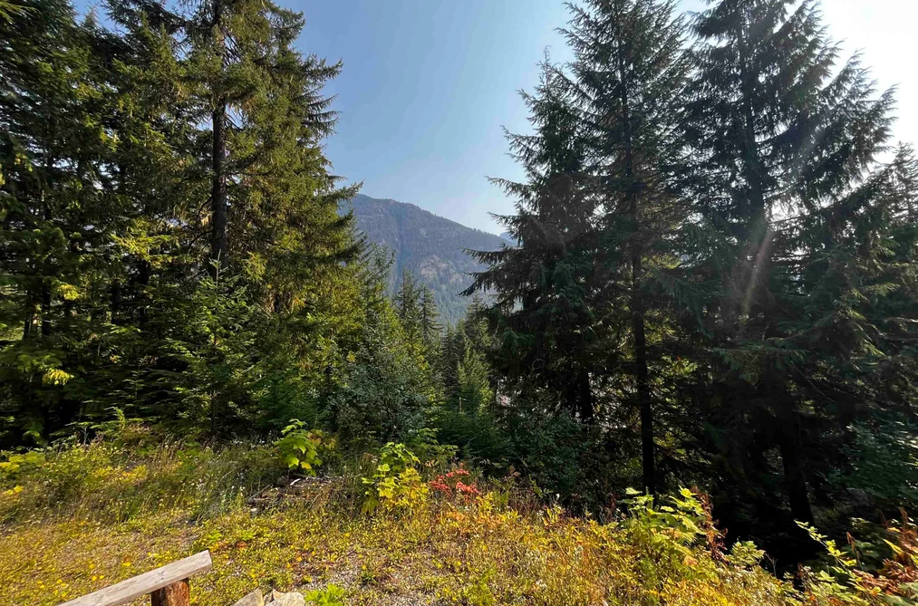 14970 PARKVIEW AVENUE, Sunshine Valley BC V0X 1L5, Sunshine Valley BC — Land for Sale - Photo 7
