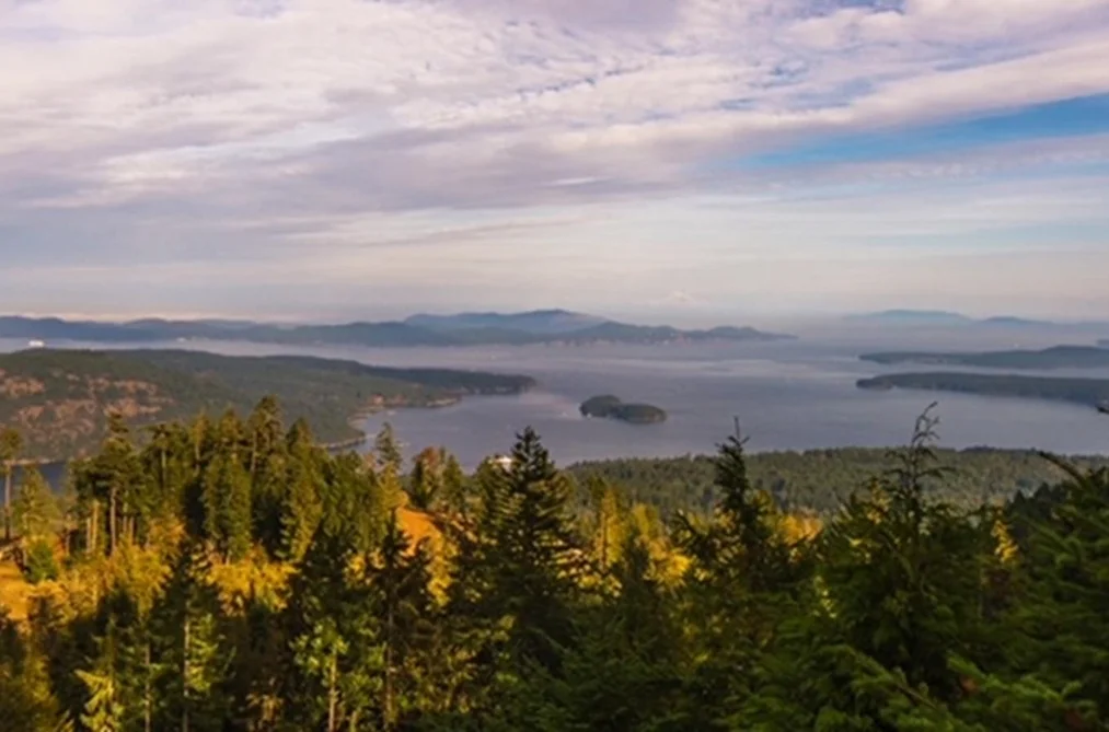 Property for sale at 150 Skywater Lane Salt Spring Island British Columbia - MLS: R3079714