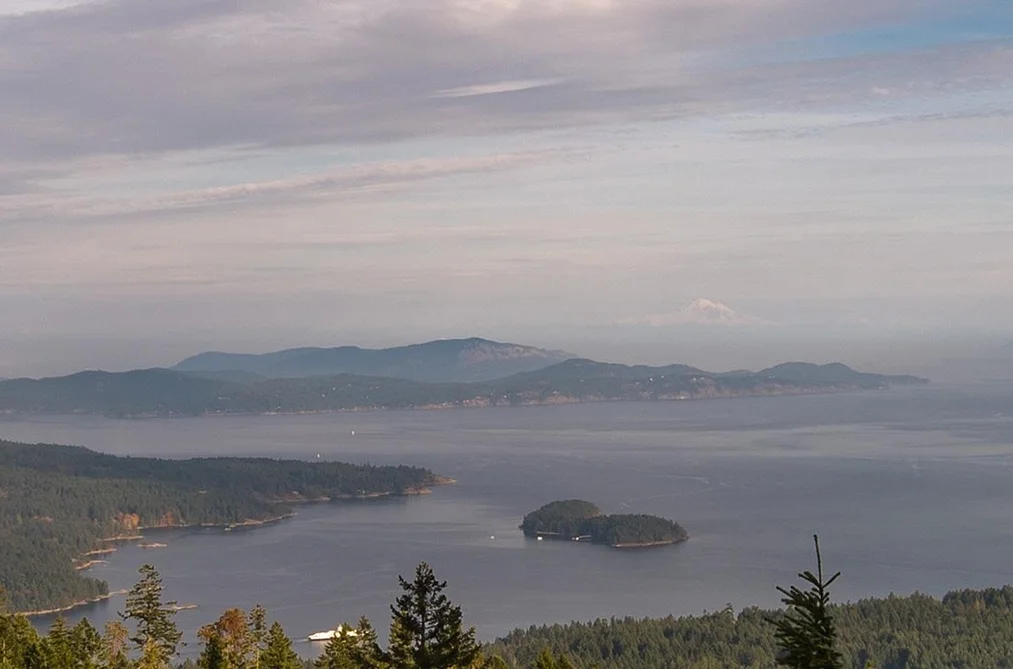 150 SKYWATER LANE, Salt Spring Island BC V8K 2W9, Salt Spring Island BC — Land for Sale - Photo 2