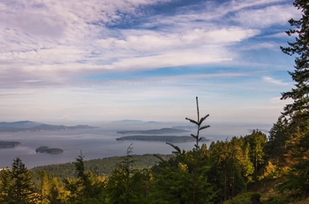 150 SKYWATER LANE, Salt Spring Island BC V8K 2W9, Salt Spring Island BC — Land for Sale - Photo 3